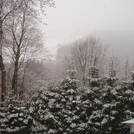 Guest house Haus Am Hirschsprung Willingen (Upland)