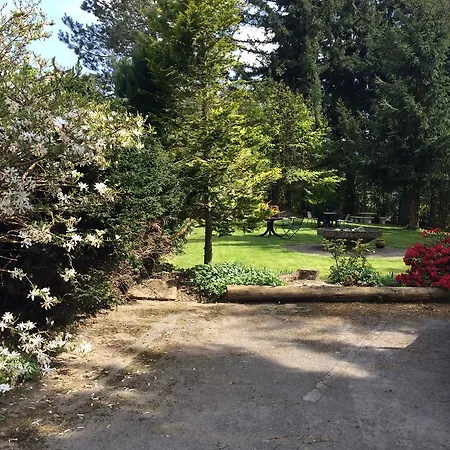 Guest house Haus Am Hirschsprung 3*