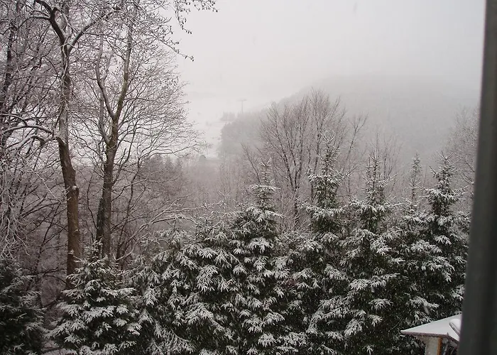 Vendégház Haus Am Hirschsprung Willingen